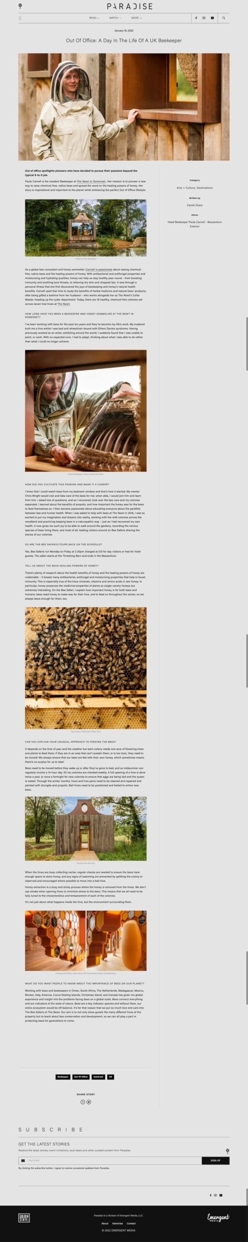 Out-of-Office-A-Day-in-the-Life-of-a-UK-Beekeeper-Paradise